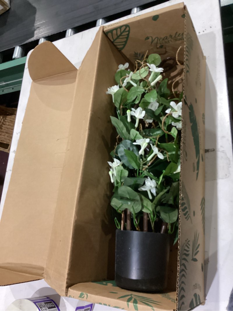 Condition photo showing As Is for nearly natural 24in. stephanotis artificial climbing plant