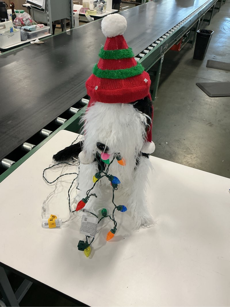 Condition photo showing As Is for Holiday Living 2 ft LED Shaggy Dog Decoration