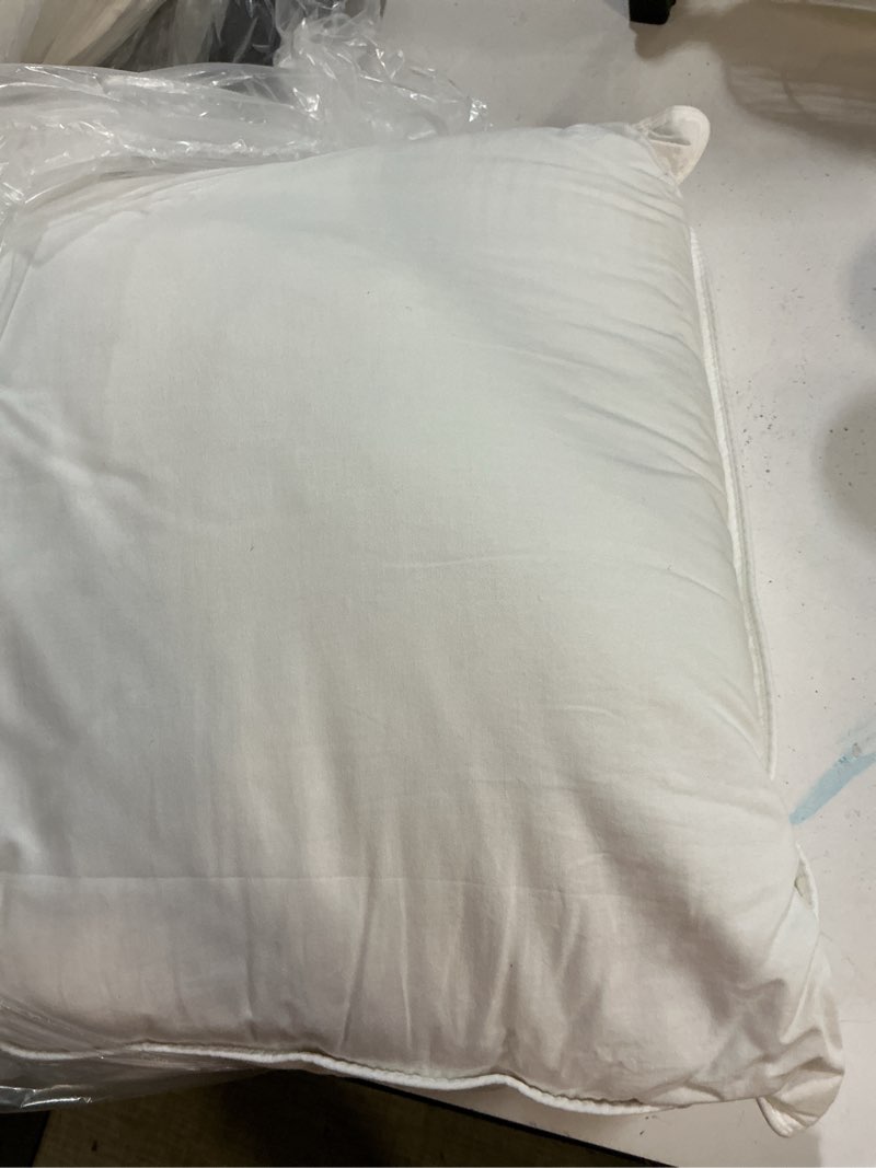 Condition photo showing Good Condition for quince premium down pillow, standard, firm