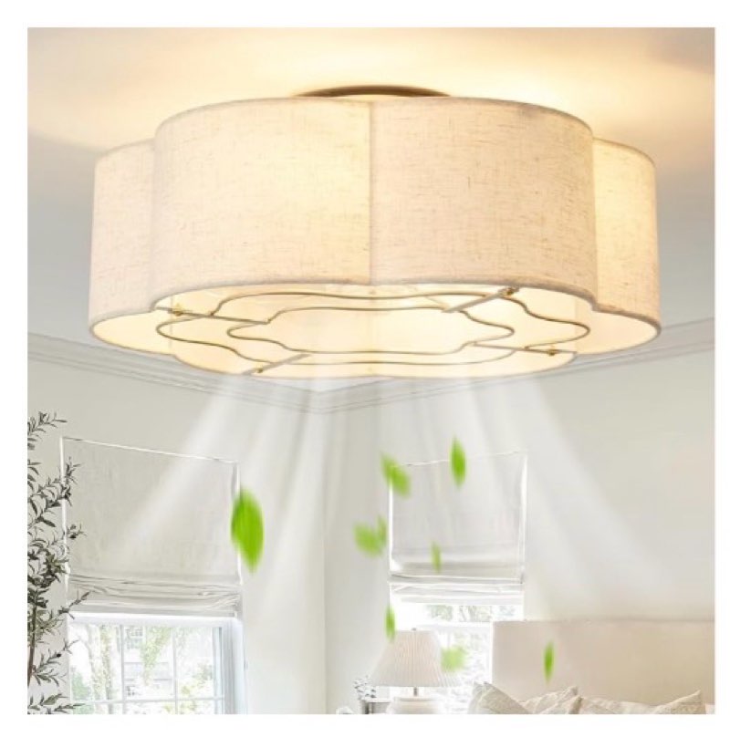 Glmthux Caged Ceiling Fan with Lights, Flush Mount 20" Boho Ceiling Fans with Lights Remote Control,