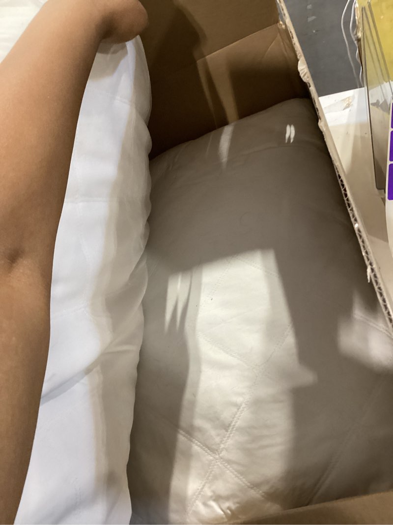 Condition photo showing As Is for puredown® goose feathers and down pillow with diamond quilting with 100% cotton cover, pack of 2, queen size classic white queen (pack of 2)