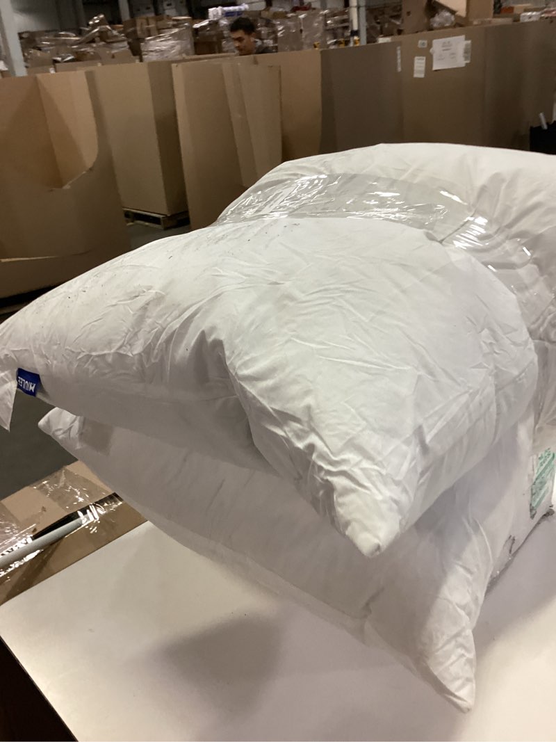 Condition photo showing Good Condition for MIULEE 22x22 Pillow Inserts,Set of 2 Down Feather Throw Pillows for Couch Sofa Bed, Decorative Fluffy Throw Pillow Inserts Cotton Fabric,White 2 22x22 Inch