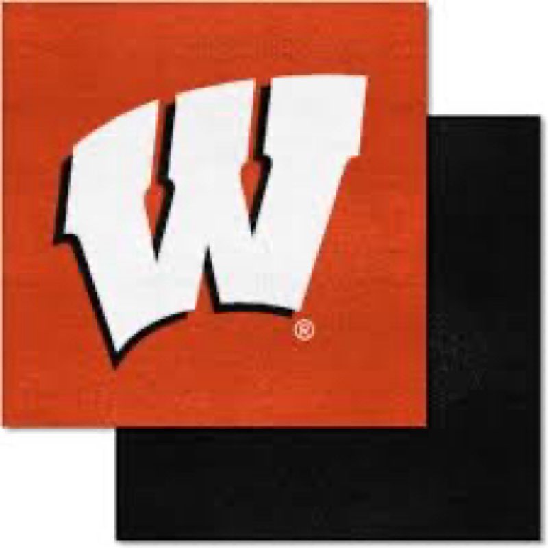 (19ct) Wisconsin Badgers Collegiate 18x18 Carpet Tiles in Multi - Colored