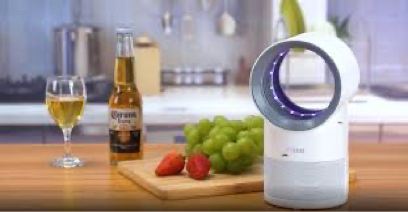 Flying Insect Trap, Fruit Fly Trap for Indoors, Fly Traps Indoor for Home Gnat Traps House Indoor, B