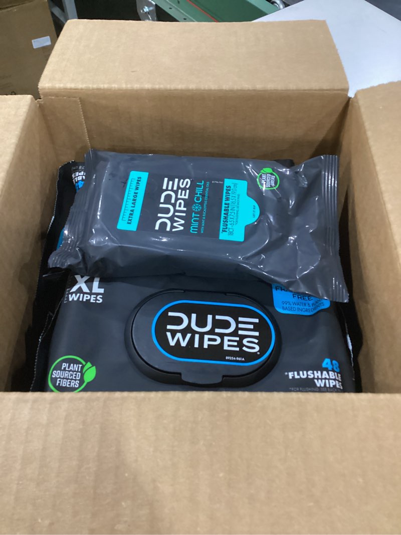 Condition photo showing Good Condition for dude wipes - flushable wipes - 8-pack, 384 count - unscented + mint chill travel pack 1-pack, 18-count - extra-large - vitamin-e & aloe - septic and sewer safe fragrance free 48 count (pack of 8)
