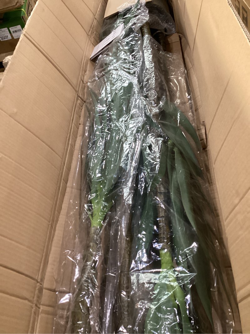 Condition photo showing As Is for Waoops Artificial Tree 5.3Ft Faux Agave Plant with 3 Heads in Plastic Pot Fake Tree for Home Decor Indoor or Outdoor Office Decoration Housewarming Gift