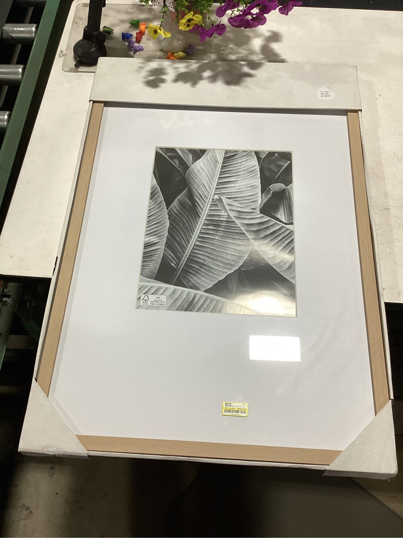 Condition photo showing New/Like New for 20" x 30" matted to 11" x 14" poster frame light wood - threshold