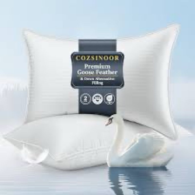 COZSINOOR Goose Down Feather Pillows Queen Size - Hotel Bed Pillow for Sleeping Set of 2, Soft 600 T