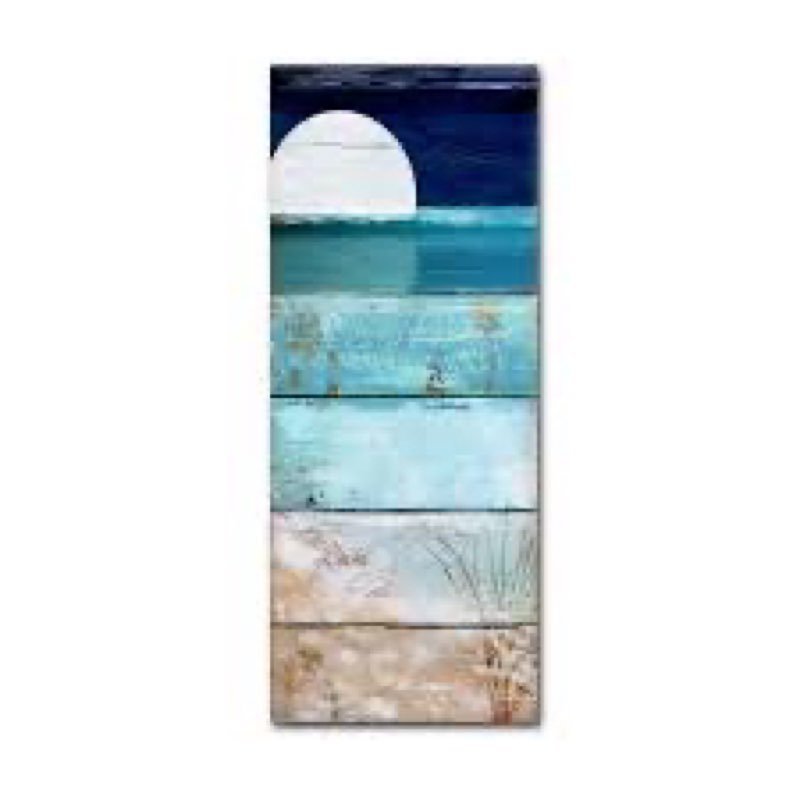 Trademark Fine Art ' Beach Moonrise I ' Stretched Canvas by Color Bakery 14x32