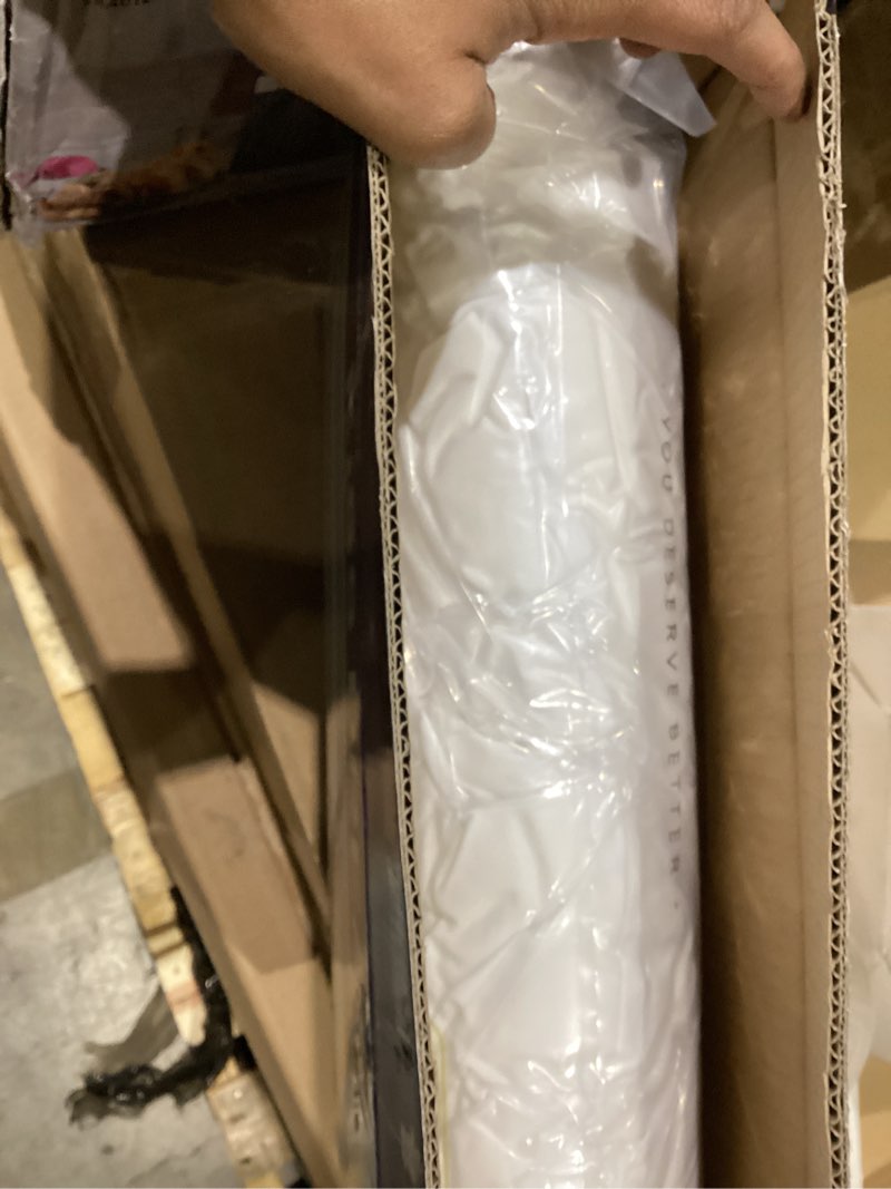 Condition photo showing New/Like New for 100% Natural Talalay Latex Pillow Sleeping Bed Pillows, Extra Soft Luxury Standard Pillow, Perfectly Aligns for Side/Back Pain, Stomach, Neck, Pressure Relief, Removable Cotton Cover Standard (Extra Soft)