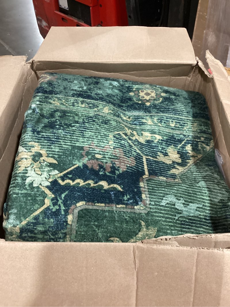 Condition photo showing As Is for rugs mayfield washable traditional area rug color green and yellow
