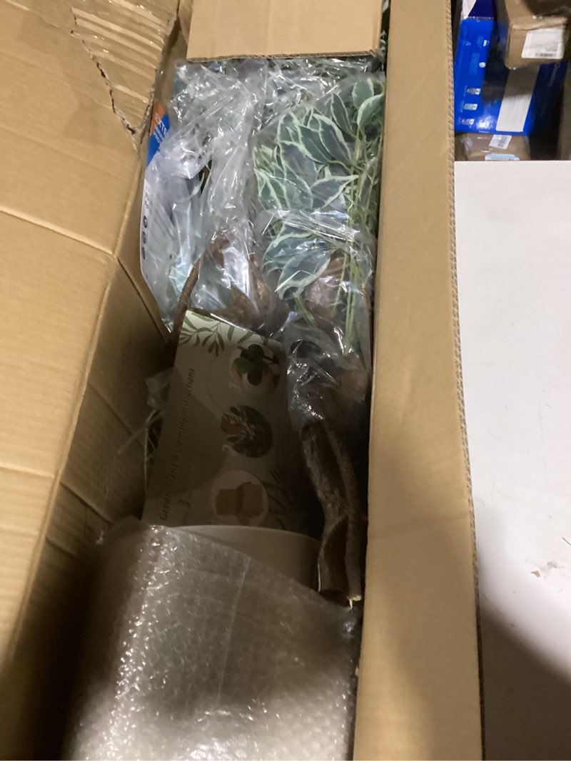 Condition photo showing Good Condition for GarveeHome Artificial Ficus Tree for Home Decor Indoor,5 ft Faux Floor Tree White Imitation Ceramic Planter, Indoor Outdoor Lifelike Fake Ficus Tree with Pebbles & Green Fake Moss for Office 5ft Green