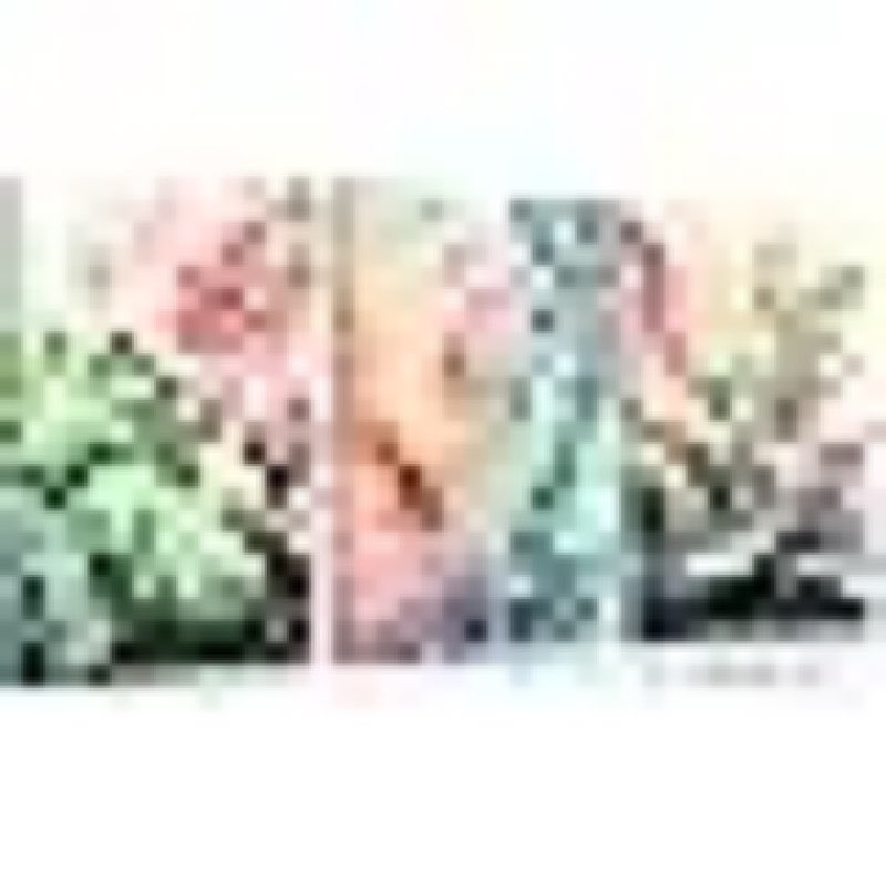 3pcs Framed Tropical Botanical Canvas Wall Art Monstera Leaves Posters Botanical Prints Bohemian style Wall Decor Pictures Palm Leaves Paintings for Bathroom living room Decoration