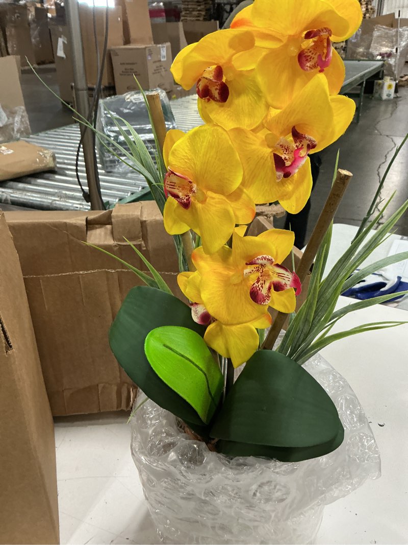 Condition photo showing Good Condition for nearly natural phalaenopsis silk orchid flower arrangement 9 in x 6 in x 21 in yellow