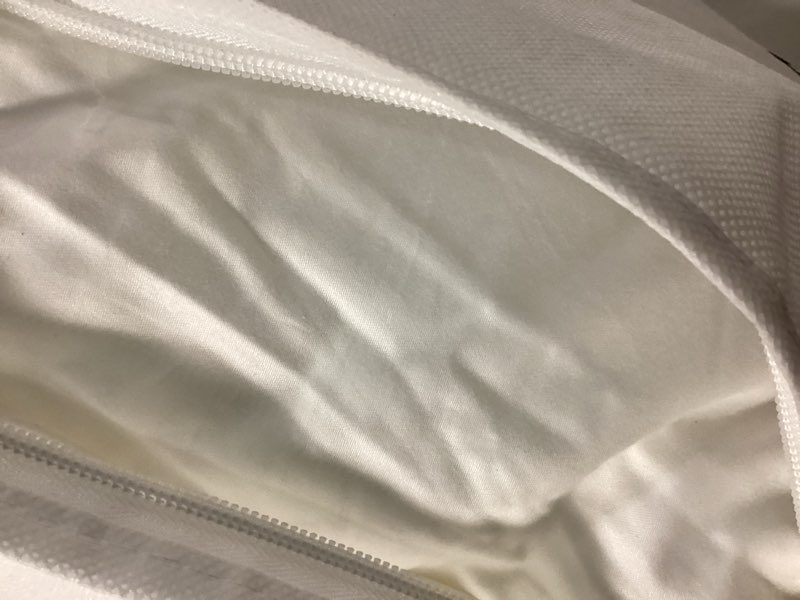 Condition photo showing As Is for quince premium down alternative pillow