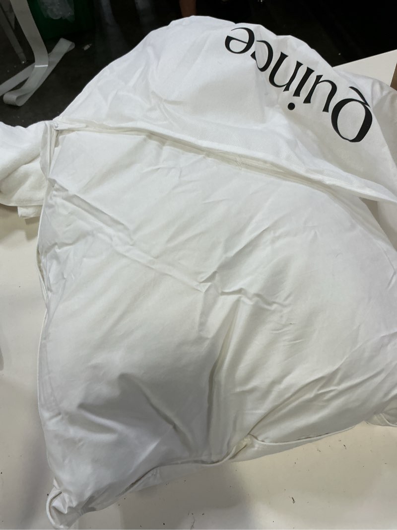 Condition photo showing Good Condition for premium down pillow, standard, soft
