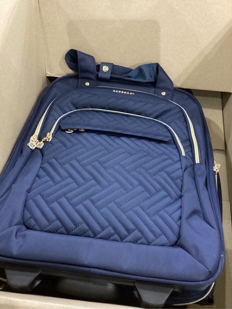 Bagsmart backpack