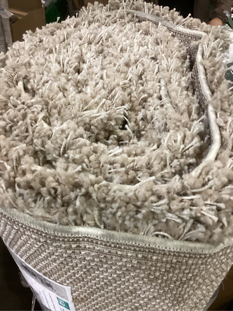 Condition photo showing Good Condition for california shag beige 9 ft. x 12 ft. solid area rug