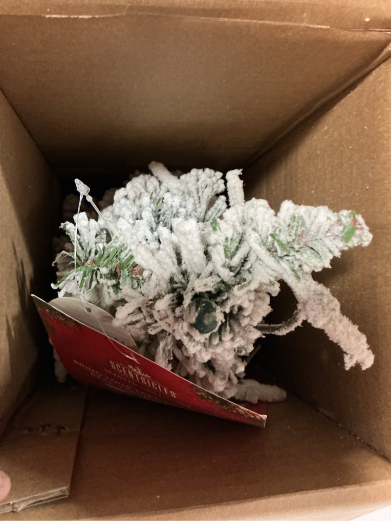 Condition photo showing New/Like New for National Tree Company Pre-Lit Artificial Christmas Tree, Snowy Downswept, Green, White Lights, Includes Stand, 2 Feet 2ft Tree