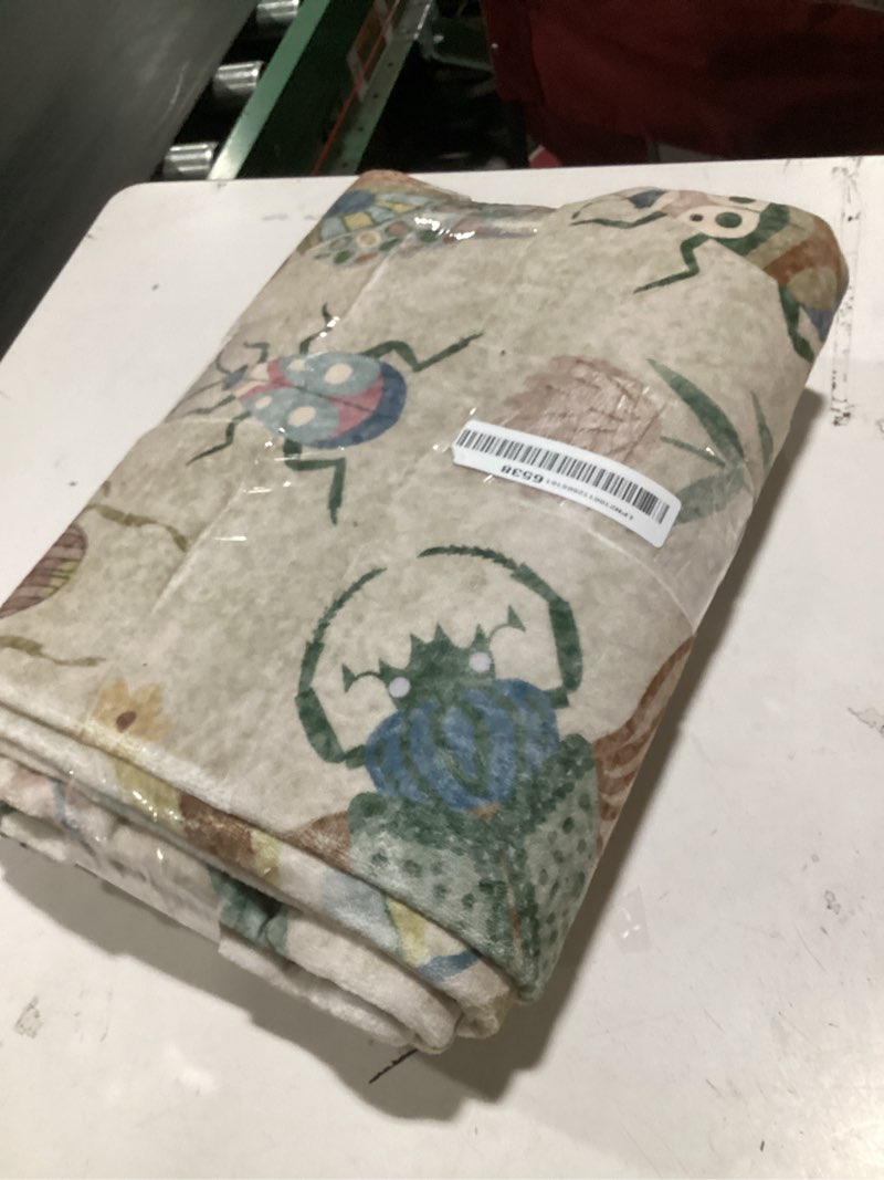 Condition photo showing Good Condition for light green rug for girls bedroom dorm beetle bute similar  to  floral pattern vibrant rug 5x7 vintage cottage soft low pile floor carpet with non slip washable green area rugs for kids playroom 5 x 7 beige5' x 7' (rectangular)