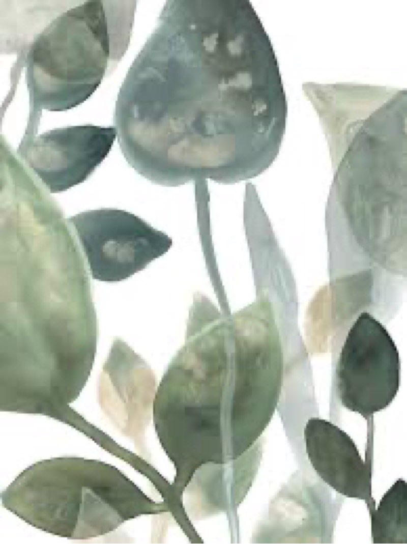 Water leaves ll” - wrapped canvas painting print