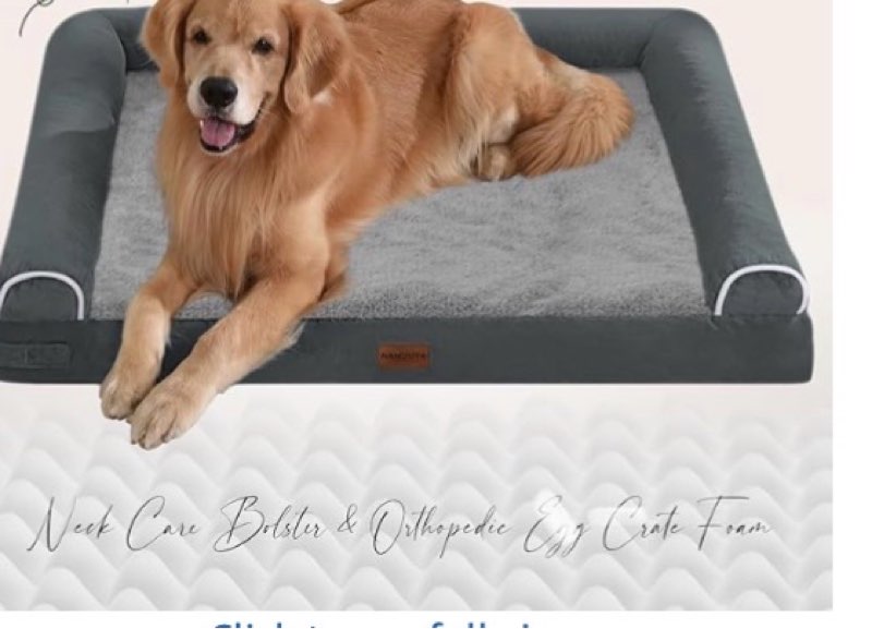 Comfort Expression Orthopedic Dog Bed for Small Dogs 24x16 Inch, Waterproof Supportive Egg Crate Foa