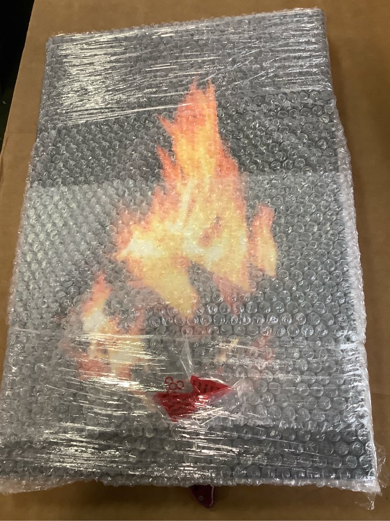 Flames of Campfire Painting frame
