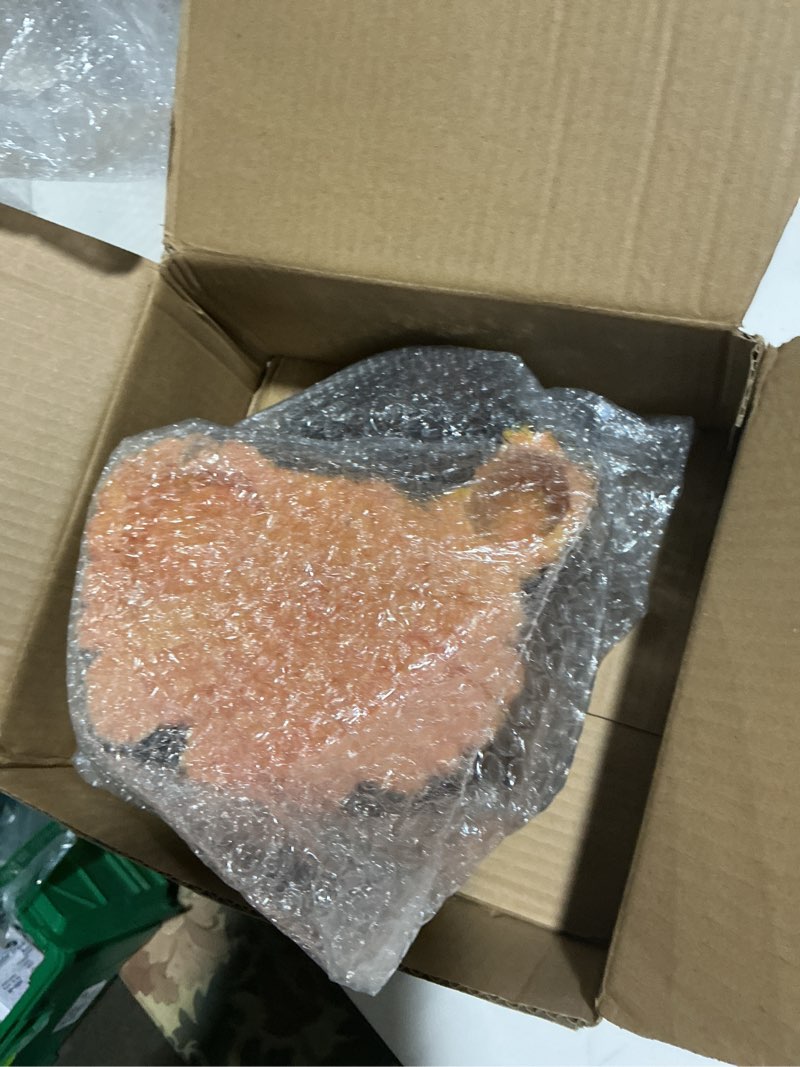 Condition photo showing Good Condition for Reptile Hide Cave, Naturalistic Terrarium Décor, Safe Hideout for Ball Pythons, Bearded Dragons, Leopard Geckos