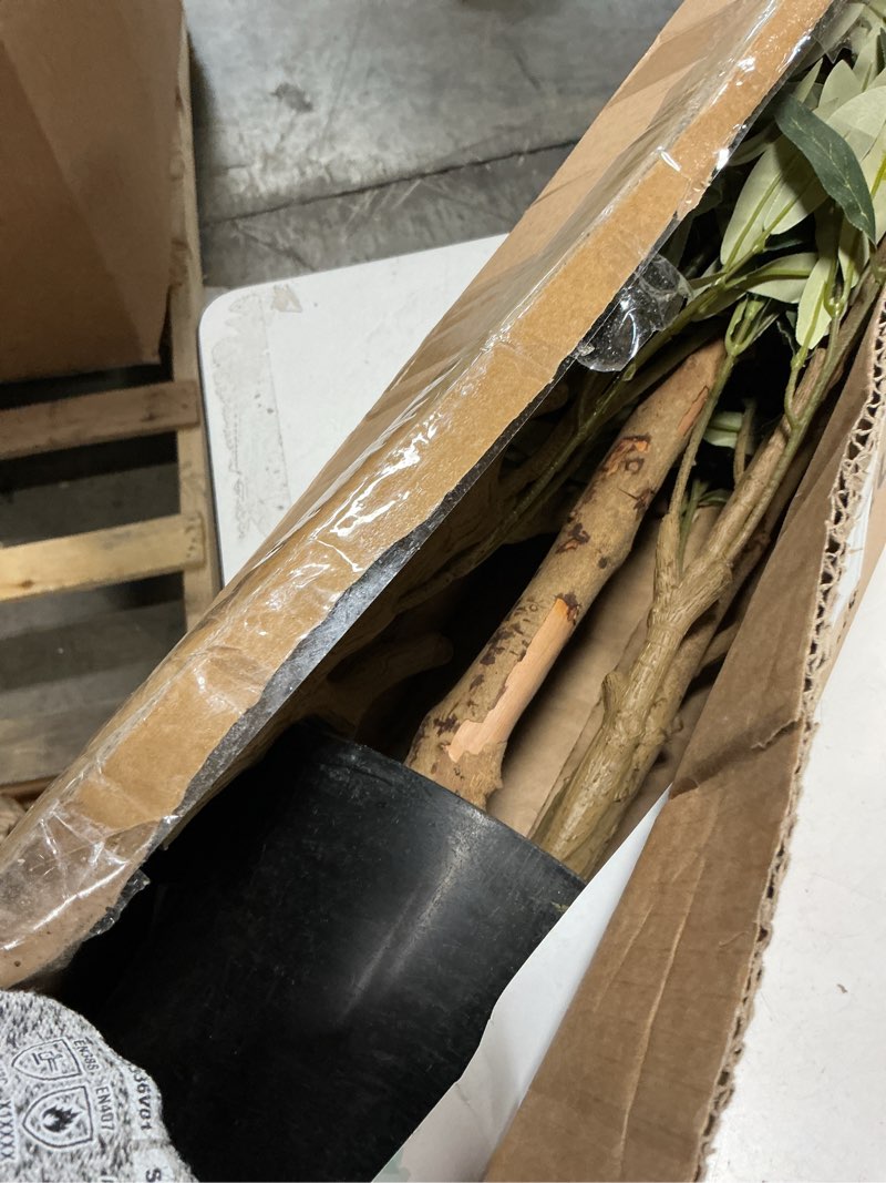 Condition photo showing As Is for Bellacat Faux Olive Tree 6ft?Olive Trees Artificial Indoor with Natural Wood Trunk and Realistic Leaves and Fruits. 6 Feet(72in) Fake Olive Tree for Home House Office Décor. 1 6ft