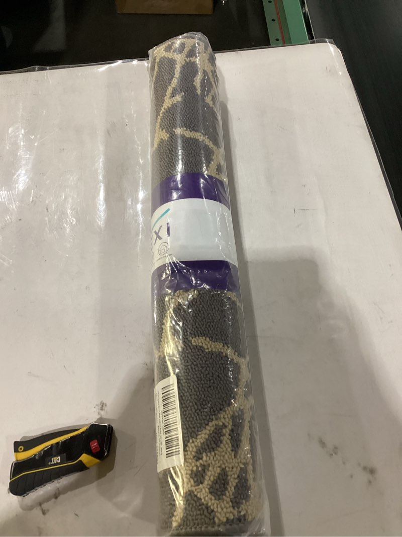 DEXI Front Door Mat for Entryway, Dirt Trapper Non Slip Absorbent Entry Rugs, Low Profile Washable A