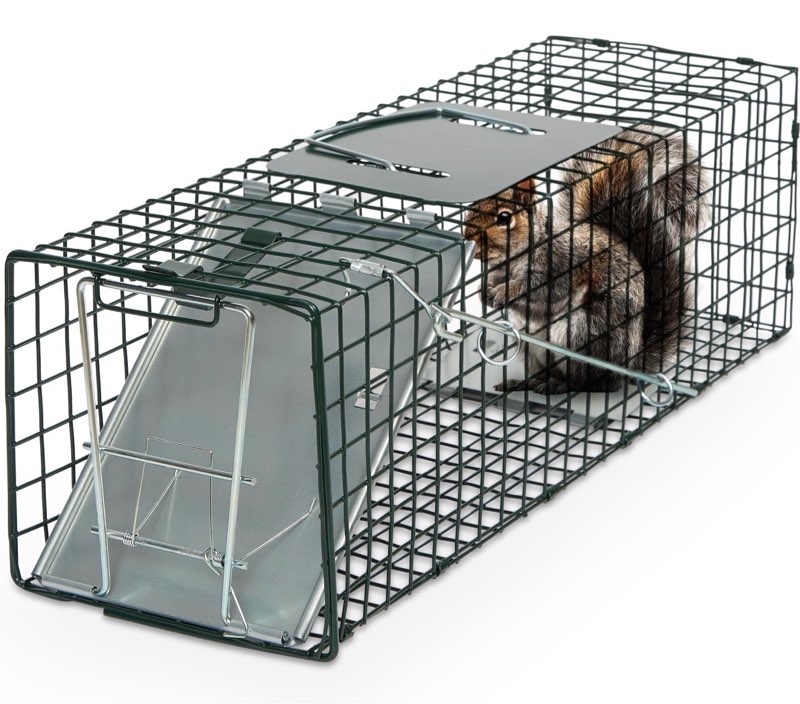 humane way sentinel 24 inch live animal trap - no assembly required - safe small traps for all animals - cat, squirrel, rabbit, rodent - 24" l x 7.5" w x 7.5" h