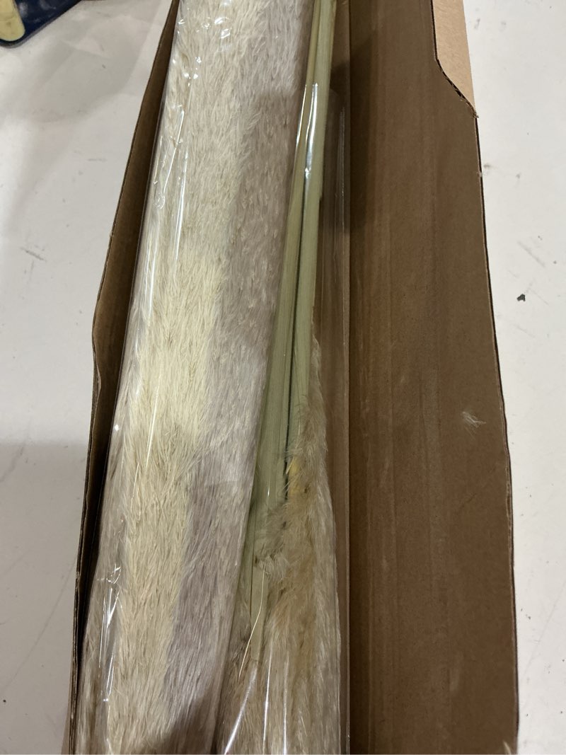 Condition photo showing Good Condition for 40" tall pampas grass – 16 stems natural pompas grass for wedding, party, farmhouse, and boho home decor