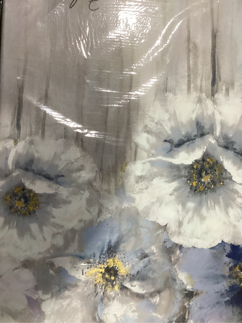 Condition photo showing Good Condition for woxfcart bathroom flower canvas wall art, blue and white floral picture print with gold decoration for gray bedroom decor 15 x 12 inch abstract floral 15"l x 12"w