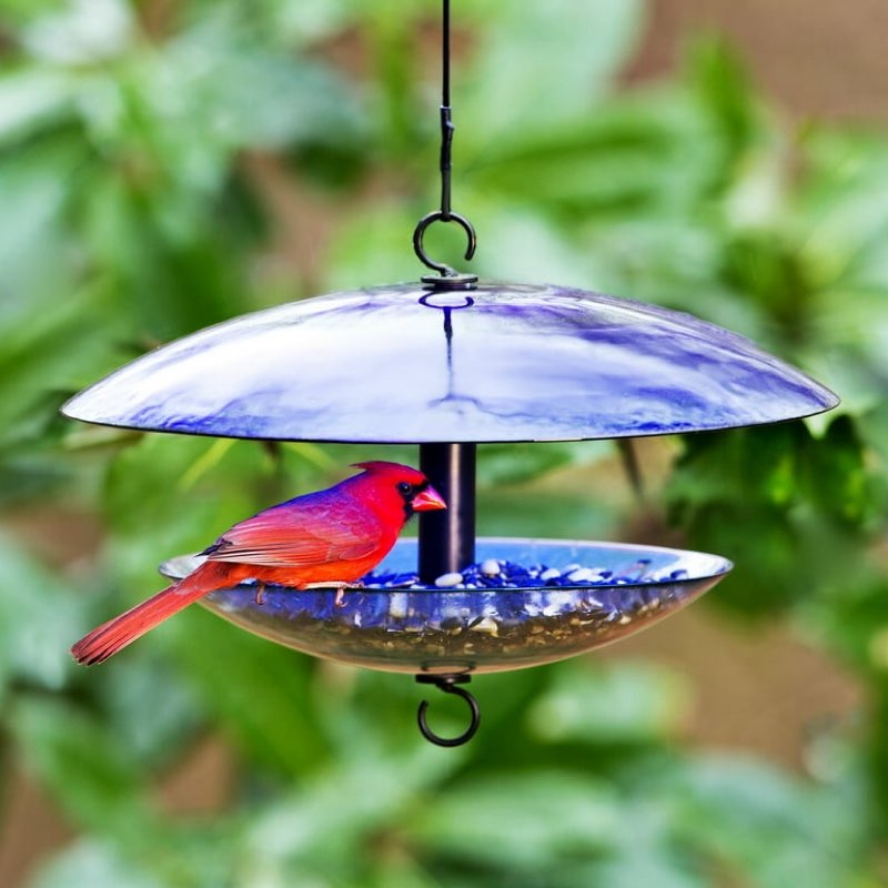 Mosaic Birds M380-200-15 Baffle Dome Bird Feeder Cobalt Blue  