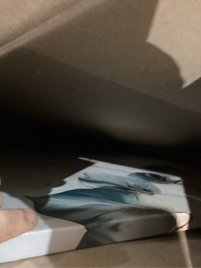 Condition photo showing Good Condition for Large Living Eucalyptus Leaf Canvas Wall Art Teal White Botanical Abstract Decor painting Pictures Modern Nordic Plant Flowers Posters Prints for Bathroom Bedroom Office Hallway Home Decoration white 40"L x 20"W