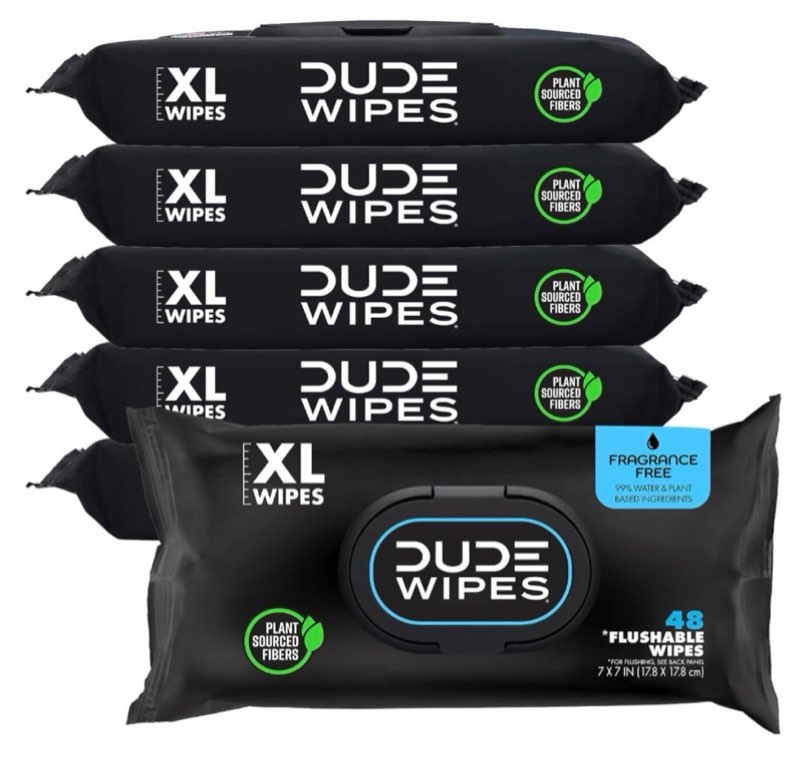 DUDE Wipes - Flushable Wipes - 6 Pack, 288 Wipes - Unscented Extra-Large Adult Wet Wipes - Vitamin-E