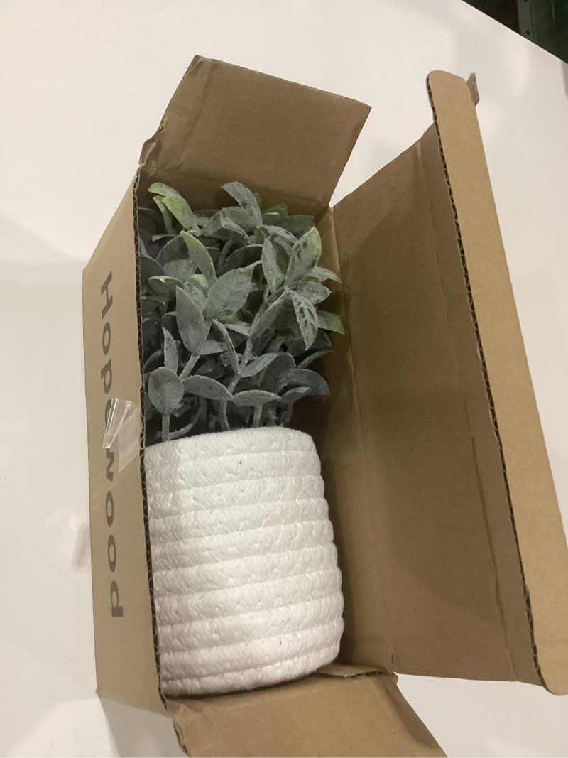 Condition photo showing New/Like New for Hopewood Faux Plants, Small Fake Plant for Bathroom, Decorative Artificial Plants for Farmhouse Desk Shelf Decor with A Weave Basket (9.8inch) Green Plant Style a