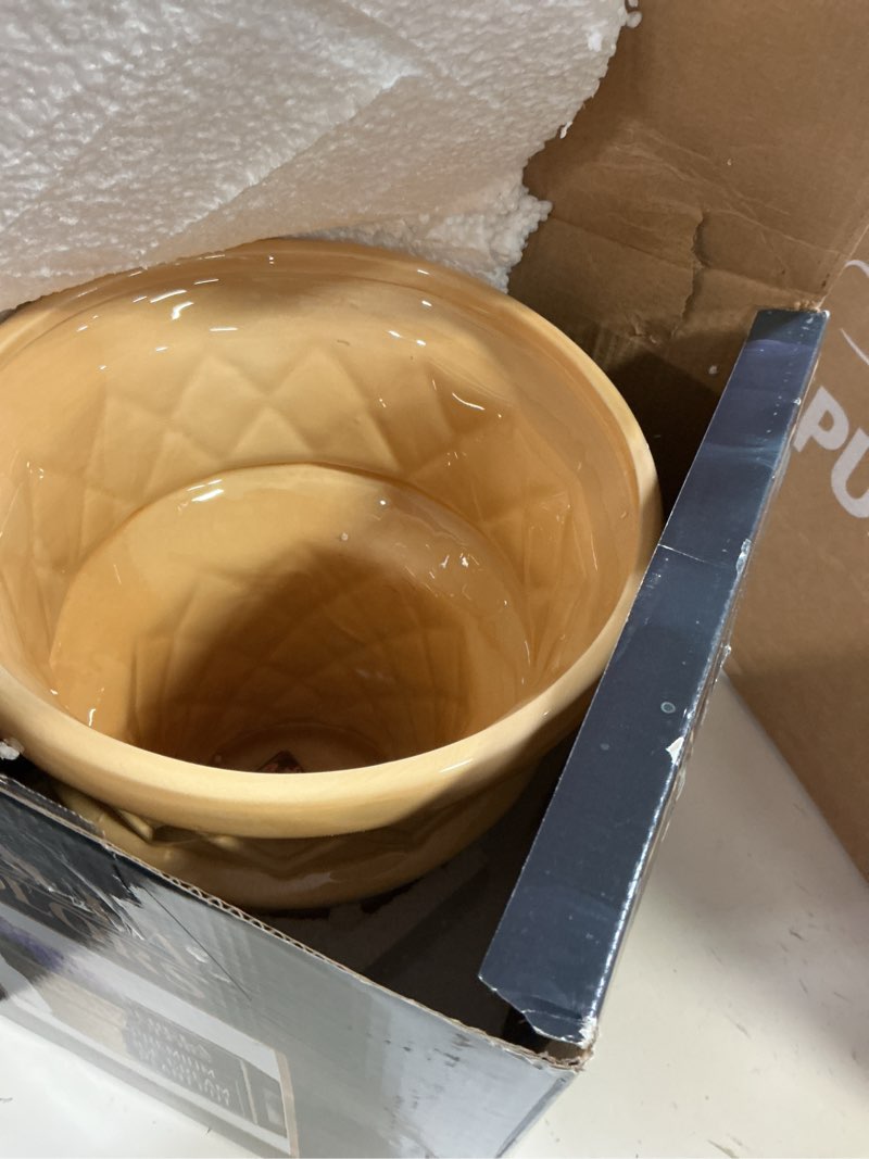 Condition photo showing Good Condition for Giant Ice Cream Cone Flower - Large Planter 12' Tall Quirky Home Decor - Indoor Outdoor Planter for Ice Cream Cone Decor Lovers - Retro Decor - Unique Finds (Giant Size)