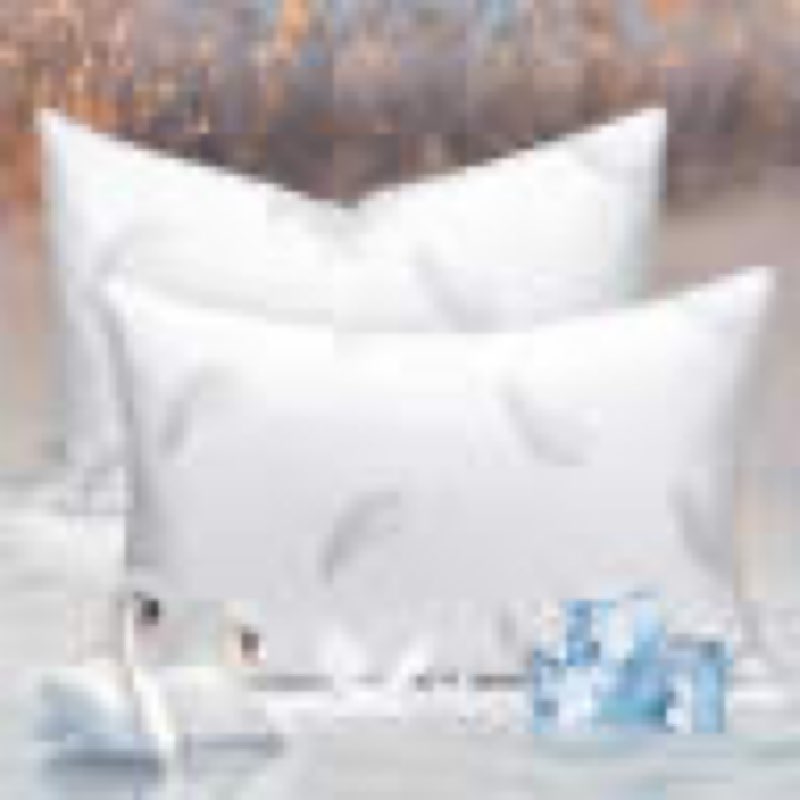 Luxury Air-Layered Goose Feather Pillows With Cotton Cover, Goose Down Plush Support Medium Pillow (Set of 2)