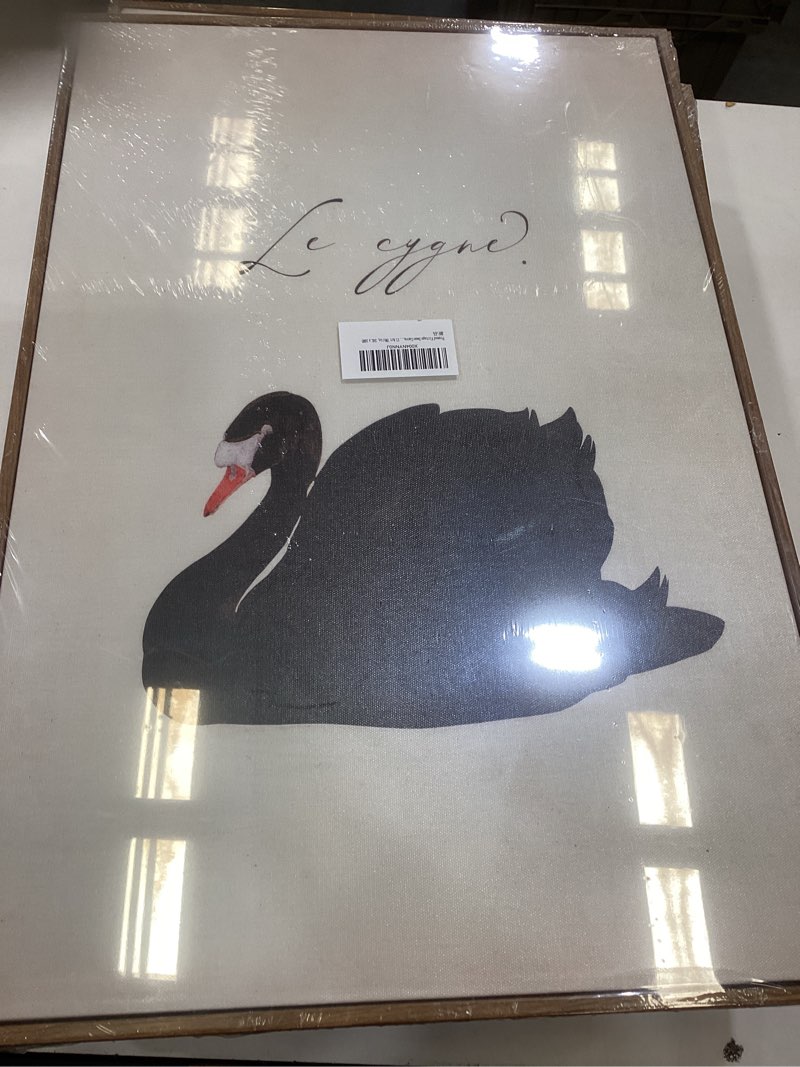 Condition photo showing As Is for eaglog vintage framed-black swan wall art,farmhouse animal canvas print,black and white cottagecore picture,eclectic rustic artwork,moody painting wall decor for living room bedroom office 8x10in white 10"l x 8"w