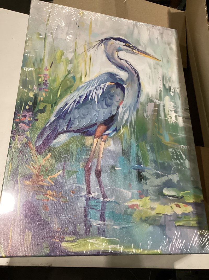 Condition photo showing Good Condition for swqylb blue heron pictures wall art sea bird canvas print beach animal painting coastal sea shore bathroom decor framed (green, (16.00" x 24.00")) green 24"l x 16"w