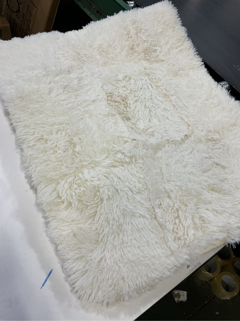 Condition photo showing Good Condition for OLANLY 2x5 Machine Washable Runner Rugs for Hallway, Soft Fluffy Shaggy Bedside Rugs for Bedroom, Living Room, Indoor Floor Carpet for Kids Girls and Boys, Nursery Rooms, Home Decor Aesthetic, Ivory 2x5 ft Ivory