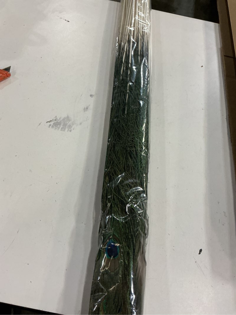 Condition photo showing New/Like New for 50 Pcs Peacock Feathers 35"-40" 35-40”