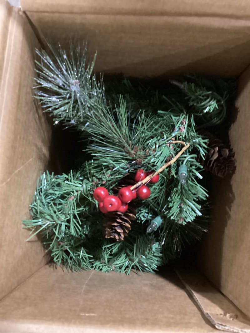 Condition photo showing Good Condition for National Tree Company 9 ft Pre-Lit Wintry Pine Flocked Artificial Christmas Garland, Christmas Decoration with Pinecones, Red Berries, 100 Clear Lights, 184 Tips, Green