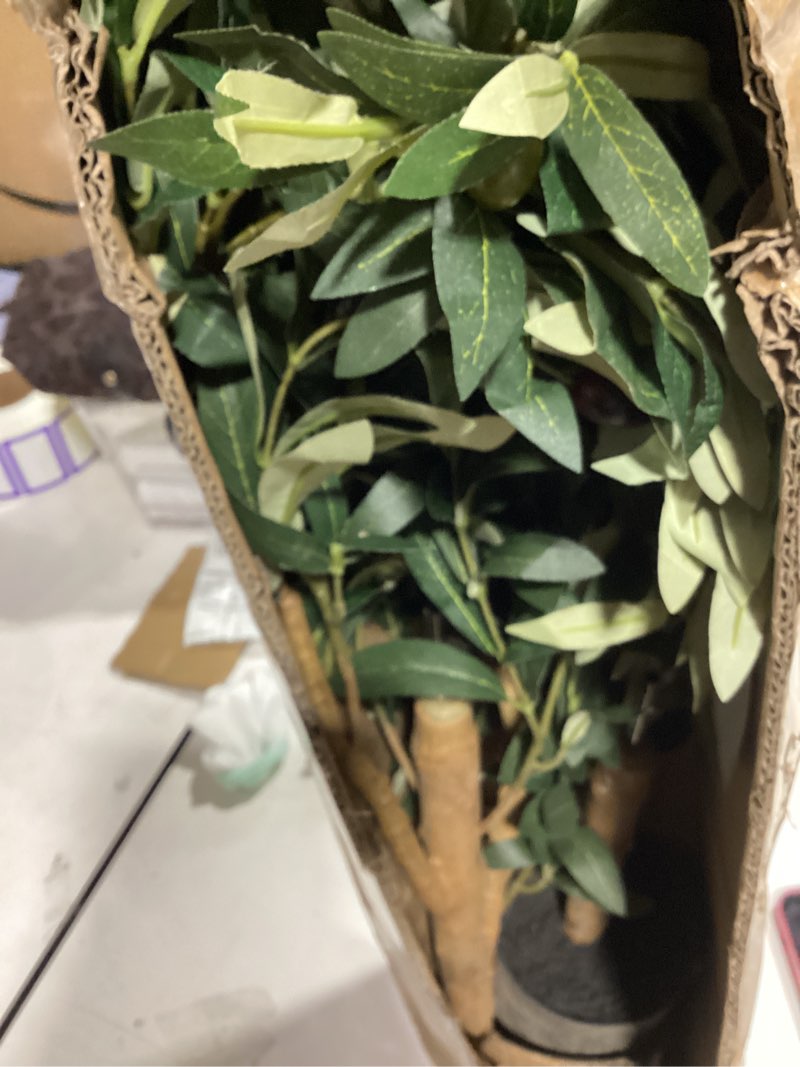 Condition photo showing As Is for bellacat faux olive tree 4ft?olive trees artificial indoor with natural wood trunk and realistic leaves and fruits. 4 feet(48in) fake olive tree for home house office décor. 1 4ft