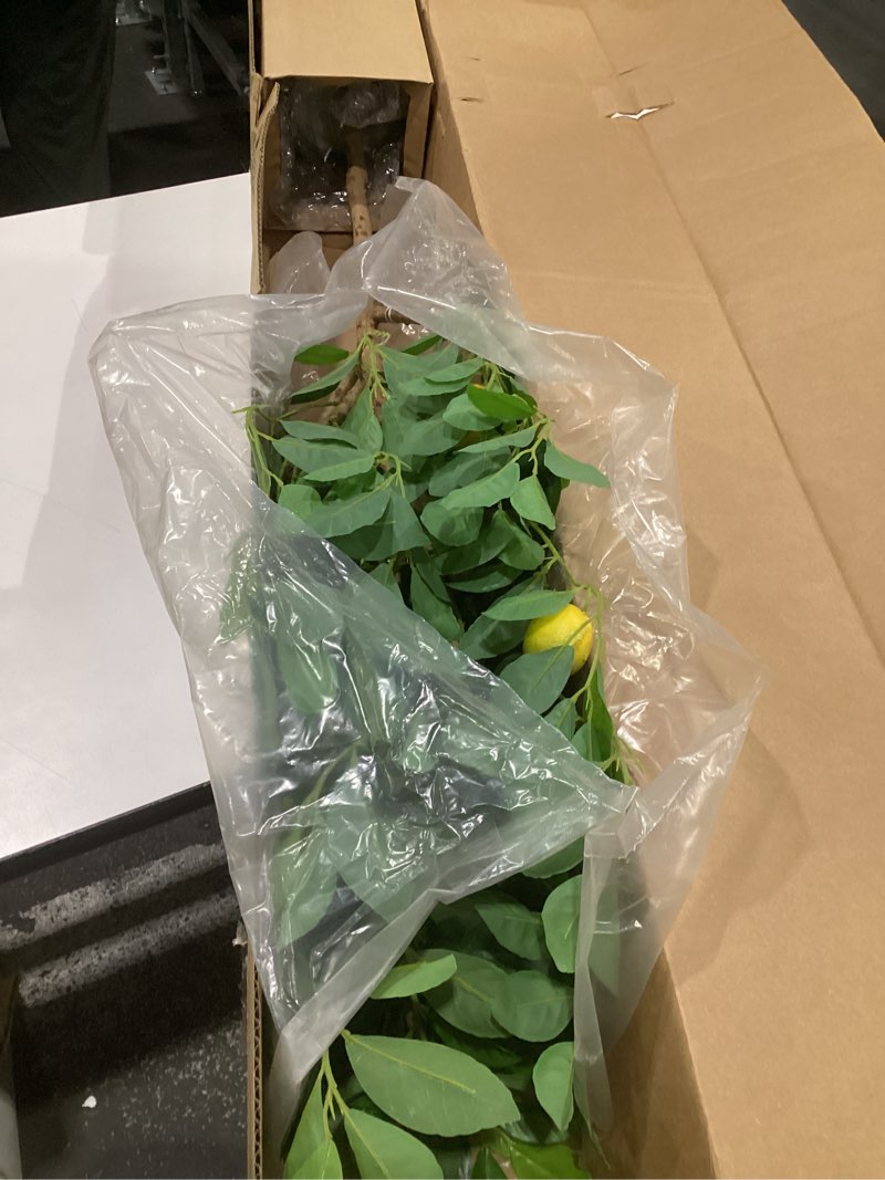 Condition photo showing Good Condition for nearly natural 4ft. lemon artificial tree