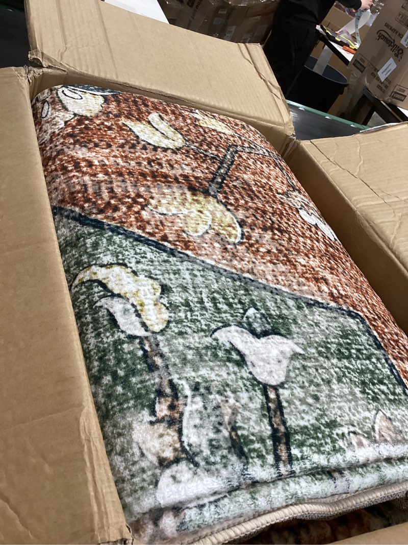 Condition photo showing Good Condition for RELEANY Area Rugs 10'x14' Washable Non-Slip, Floral Vintage Distress Print Pattern Medallion Carpet for Living Room Bedroom Dining Room, Brick Red Rust Neutral Brown Burnt Orange Green Brick/Brown/Green 10' x 14' (Rectangular)