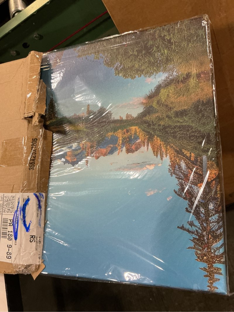 Condition photo showing New/Like New for colorado mountain wall art for living room national park poster sunset forest picture woodland landscape painting nature peak lake reflection canvas prints modern artwork office home decoration 14x48" 48"l x 14"w colorado