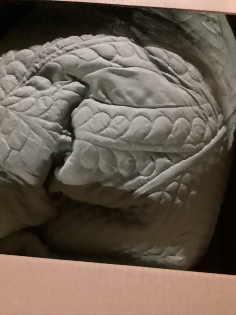 Condition photo showing Good Condition for Cmfshape Oversize King Bedspread 120"x120",3 Piece California King Quilt,Lightweight Green Quilt Set for All Season,Modern Coin Pattern Bedding Set Green Oversize King 120"x120"