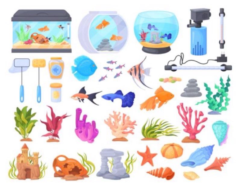 Assorted Pet Essentials, Variety of items